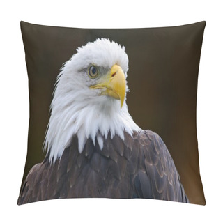 Personality  Bald Eagle Portrait Pillow Covers