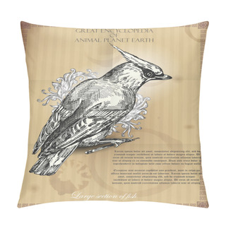 Personality  Bohemian Waxwing From Great Encyclopedia Of Animal Planet Earth. Retro Vector Illustration Pillow Covers