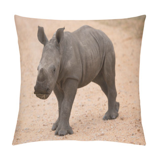 Personality  Calf Or Baby White Or Square-lipped Rhinoceros, Ceratotherium Simum, Looking Alerted But Playing Tough Pillow Covers