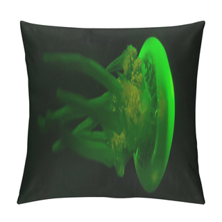 Personality  Panoramic Shot Of Jellyfish In Green Neon Light On Black Background Pillow Covers
