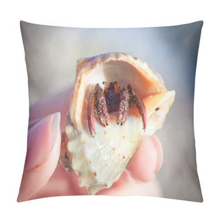 Personality  Hermit Crab Crawling On The Beach Gravels Pillow Covers