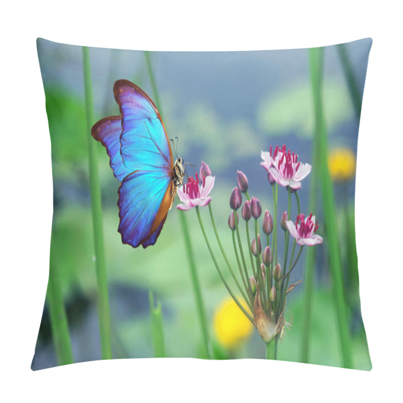 Personality  Butterfly On Flowers. Colorful Tropical Blue Morpho Butterfly On Pink Flowers. Arrowhead. Pillow Covers