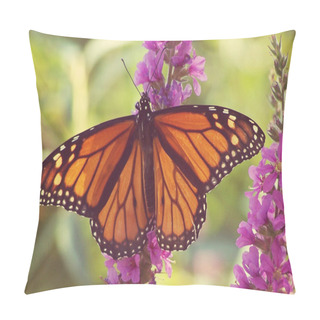 Personality  Monarch Butterfly On Purple Flowers Pillow Covers