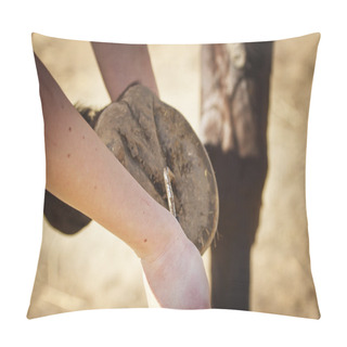 Personality  Cleaning Hooves Pillow Covers