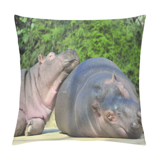 Personality  Happy Hippopotamus Friends Pillow Covers