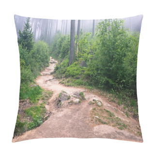 Personality  Foggy Trail In Mountain Forest Pillow Covers