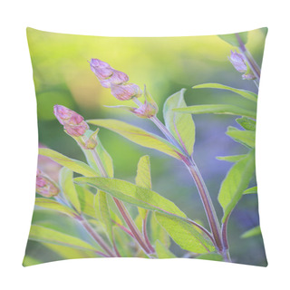 Personality  Herbal Garden - Flowering Sage In The Garden Pillow Covers