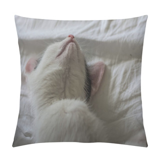 Personality  Little Dear Cat Lies And Sleeps With Twisted Ears Pillow Covers