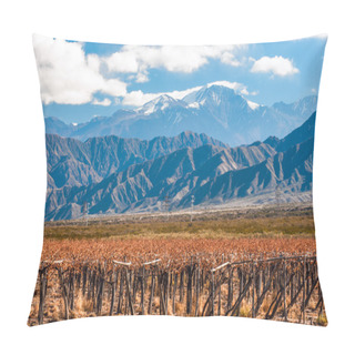 Personality  Volcano Aconcagua And Vineyard. Argentine Province Of Mendoza Pillow Covers