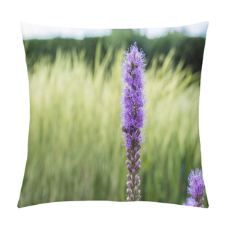 Personality  Selective Focus Of Blooming Purple Lupines In Summertime  Pillow Covers