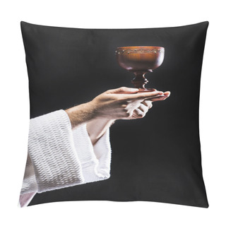Personality  Jesus Praying And Consecrating Pillow Covers