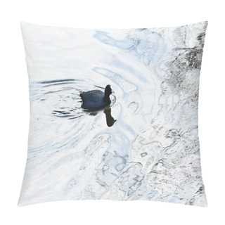 Personality  Coots ( Fulica Atra ) Foraging For Food In The Stream. Rallidae Wild Bird. Pillow Covers