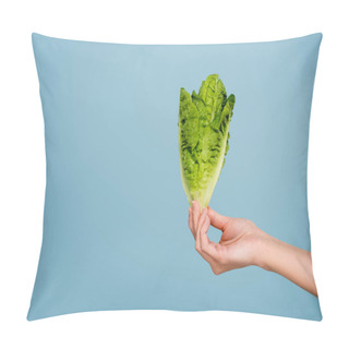 Personality  Partial View Of Woman With Fresh Green Lettuce Isolated On Blue Pillow Covers