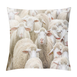 Personality  Flock Of Sheep, Sheep Farm Pillow Covers