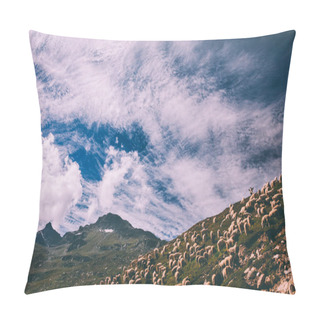 Personality  Herd Of Sheep Grazing On Pasture In Scenic Mountains, Indian Himalayas, Rohtang Pass Pillow Covers