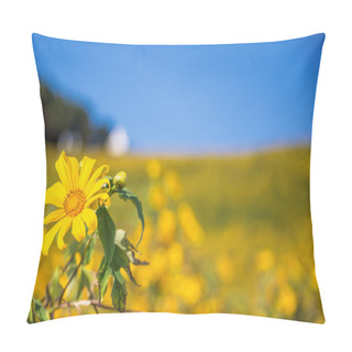 Personality  Yellow Mexican Sunflowers Pillow Covers
