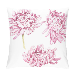 Personality  Set Of Hand Drawn Watercolor Botanical Illustration Of Flowers Chrysanthemums. Element For Design Of Invitations, Movie Posters, Fabrics And Other Objects. Isolated On White. Pillow Covers