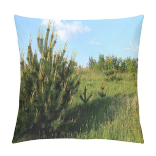 Personality  The Forest Nature Of Ukraine. Summer Sunny Morning. Forest Landscape In Ternopil. Young Forest Trees. Background With Forest Landscape For Phone And Tabet.  Pillow Covers