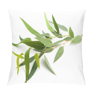 Personality  Eucalyptus Branch Pillow Covers