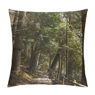 Personality  Walkway With Wooden Fence Between Spruce Trees In Forest  Pillow Covers