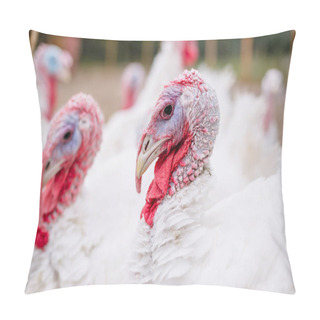 Personality  Breeding Turkeys On A Farm Pillow Covers