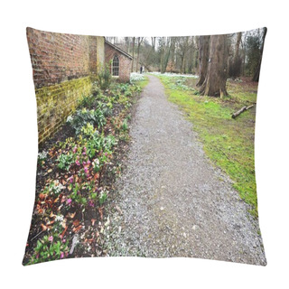 Personality  Woodland Spring Galanthus Pillow Covers