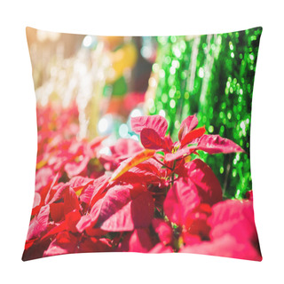 Personality  Red Poinesettia Tree For Christmas Holiday Background With Selective Focus. New Year Holidays Background. Pillow Covers
