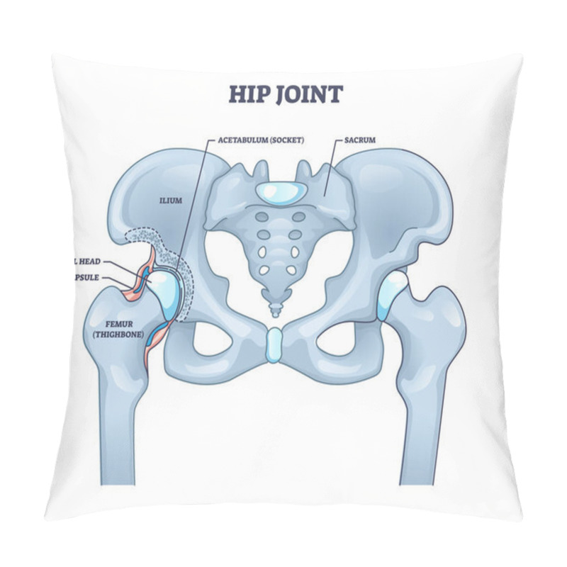 Personality  Hip joint structure with anatomical bone parts description outline concept pillow covers