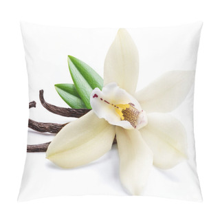 Personality  Dried Vanilla Sticks And Orchid Vanilla Flower Isolated On White Pillow Covers
