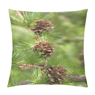 Personality  Branch Of Larch Tree With Cones Pillow Covers