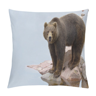 Personality  Brown Bear Close To A River Pillow Covers