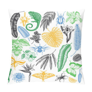 Personality  Tropical Plants And Animals Vector Collection. Hand Drawn  Exotic Flowers, Palm Leaves, Tropical Insects And Chameleon. Vintage Jungle Sketches Set For Summer Or Island Design. Pillow Covers