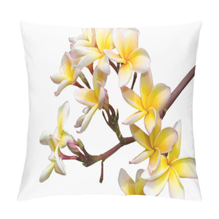 Personality  Flowers Of Magnolias Pillow Covers