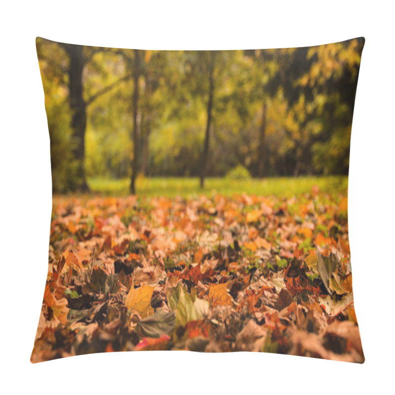 Personality  Dry leaves on ground in forest on autumn day pillow covers
