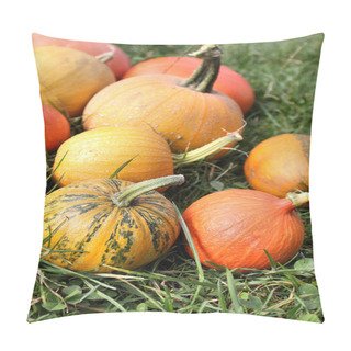 Personality  Pumpkins And Winter Squashes Pillow Covers