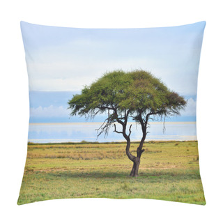 Personality  Etosha, Namibia, Africa Pillow Covers