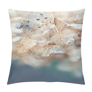 Personality  Delicate Dead Dried Hydrangea Flower Skeletons. Soft Natural Autumn Botanical Background Pillow Covers