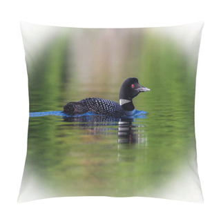 Personality  Common Loon, Quebec Canada. Pillow Covers