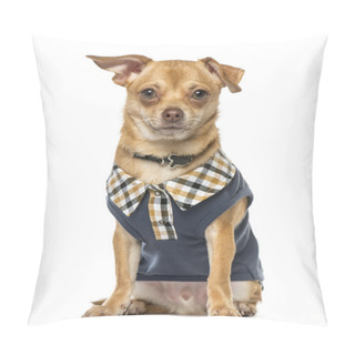 Personality  Chihuahua Sitting And Looking At The Camera, Isolated On White Pillow Covers