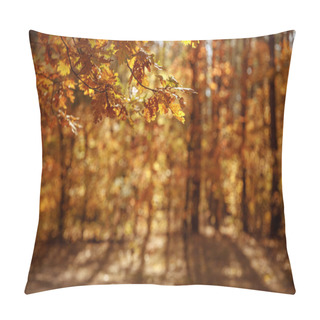 Personality  Selective Focus Of Trees With Yellow And Dry Leaves In Autumnal Park At Day  Pillow Covers