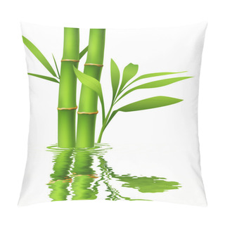 Personality  Bamboo With Refection On White Background . Pillow Covers
