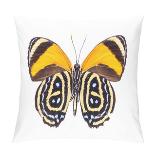 Personality  Beautiful Colorful Dotted Butterfly Isolated On White Pillow Covers