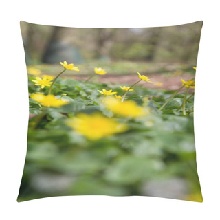 Personality  The Lesser Celandine Or Fig Buttercup (Ficaria Verna) Blooming In Spring Pillow Covers