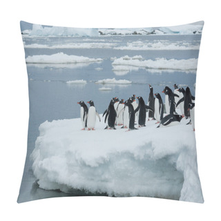 Personality  Penguins On The Ice. Pillow Covers