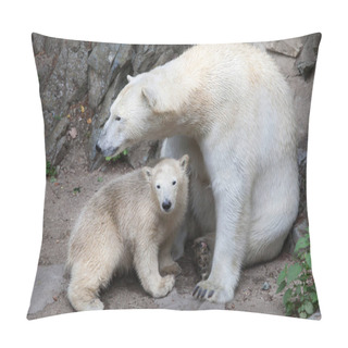 Personality  Polar Bear Baby With Mother Pillow Covers