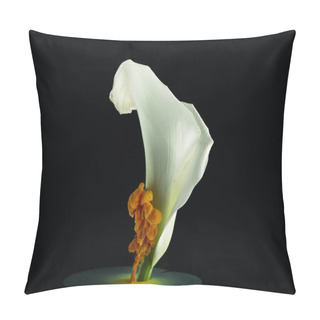 Personality  Beautiful Tender White Calla Lily Flower And Orange Paint On Black Pillow Covers