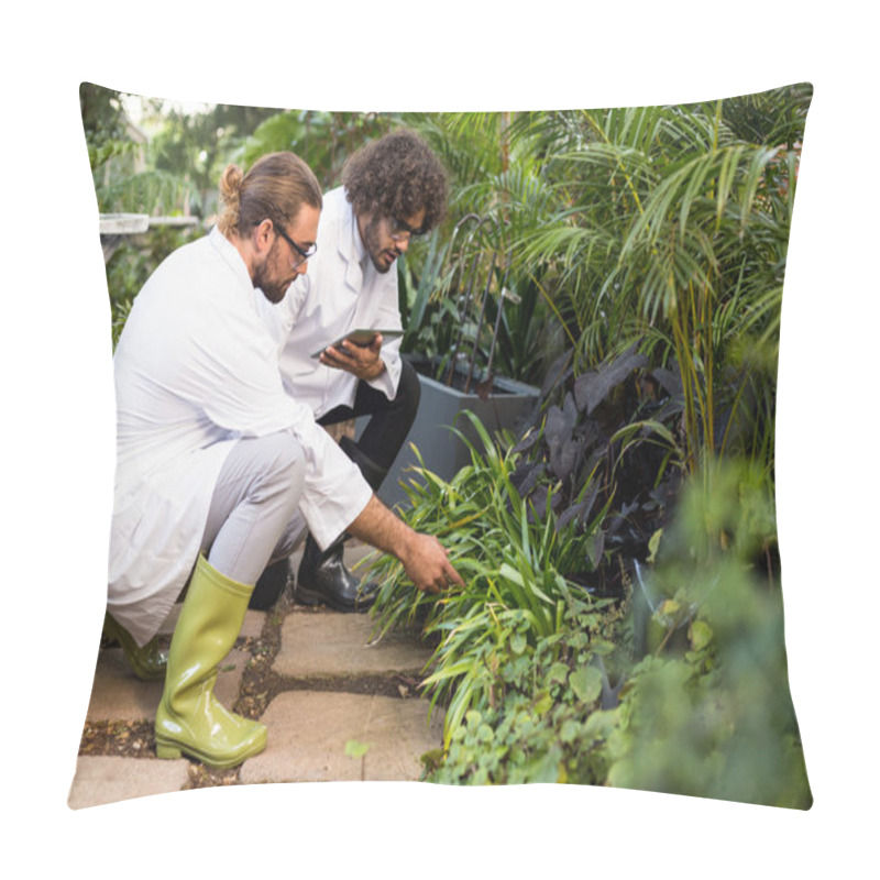 Personality  Male Scientists Inspecting Plants Pillow Covers