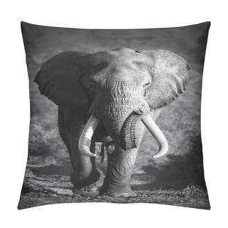 Personality  Elephant Bull (Artistic Processing) Pillow Covers