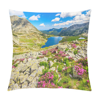 Personality  Beautiful Rhododendron Flowers And Bucura Mountain Lakes,Retezat Mountains,Romania Pillow Covers
