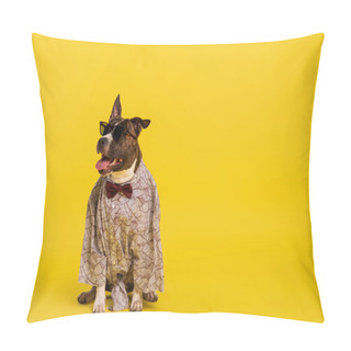 Personality  Purebred Staffordshire Bull Terrier In Cape With Bow Tie And Stylish Sunglasses Sitting On Yellow Pillow Covers